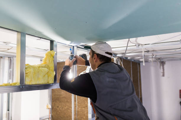 Best Crawl Space Insulation  in St Johns, MI