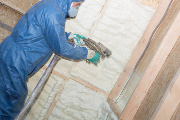 Best Attic Insulation Installation  in St Johns, MI