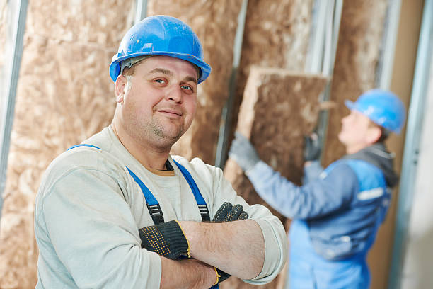 Best Spray Foam Insulation  in St Johns, MI